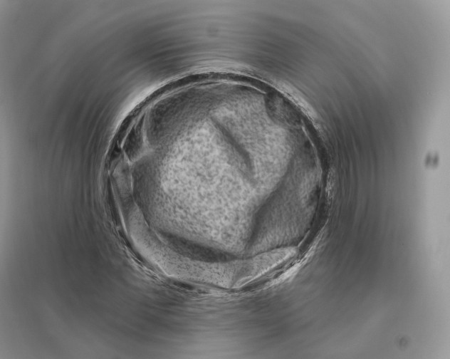 X0000096190877200802011405