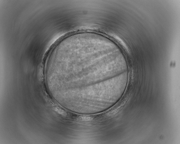 X0000096190878200802011405