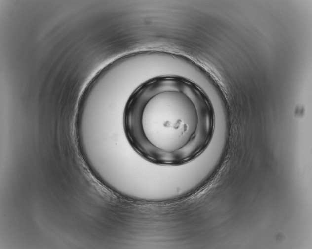 X0000096190880200802011404