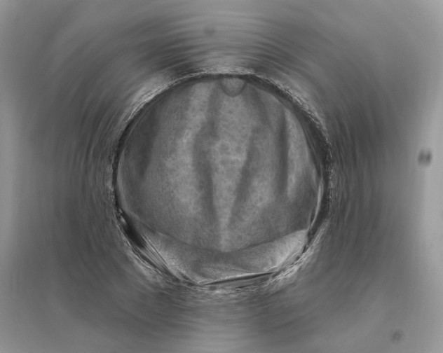 X0000096190881200802011404