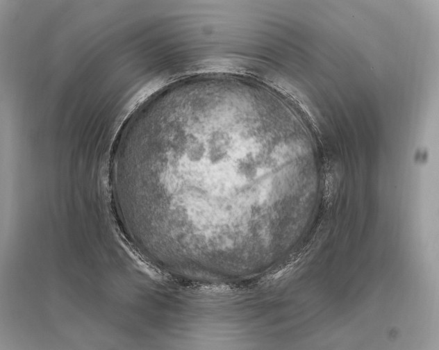 X0000096190882200802011404