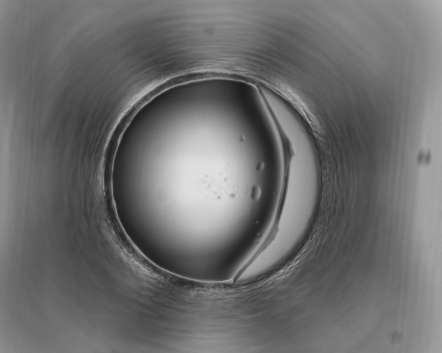 X0000096190884200802011404