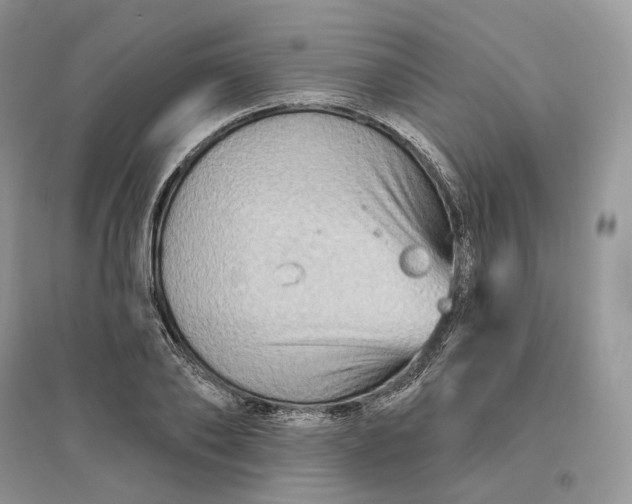 X0000096190886200802011404