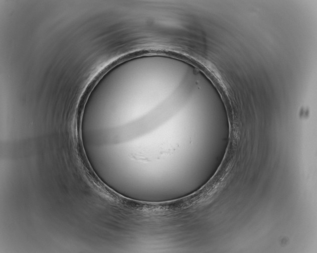 X0000096190887200802011404