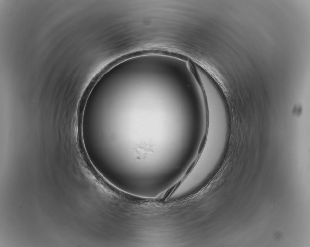 X0000096190888200802011404