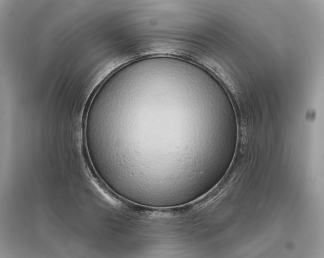 X0000096190890200802011404