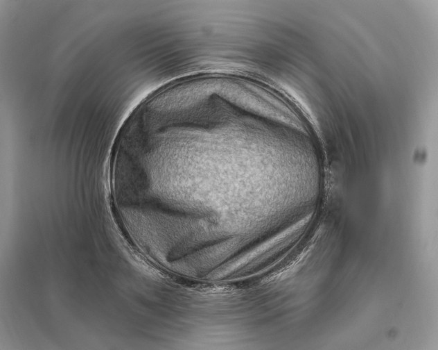 X0000096190891200802011404