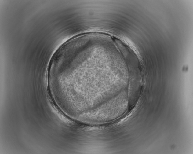 X0000096190892200802011404