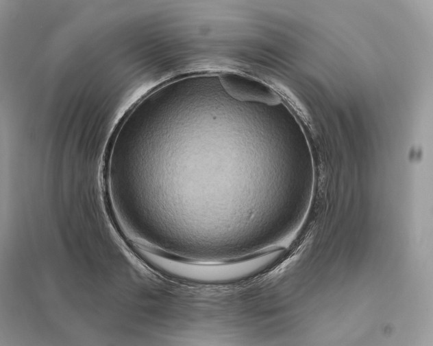 X0000096190893200802011404