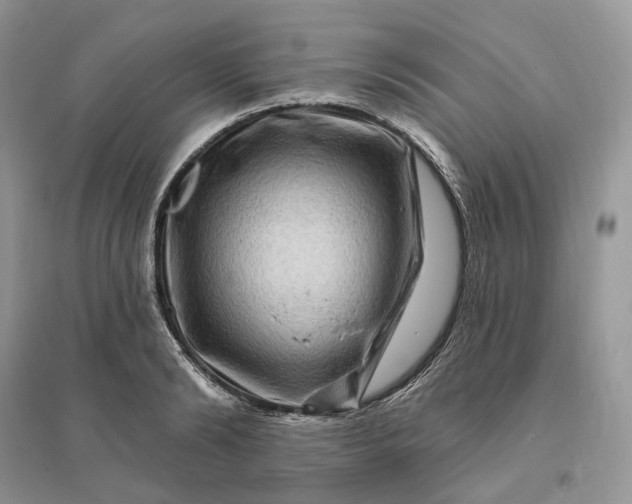 X0000096190894200802011404