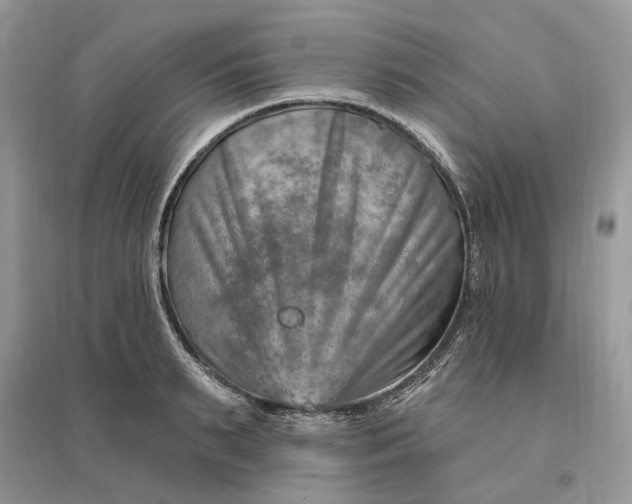 X0000096190895200802011404