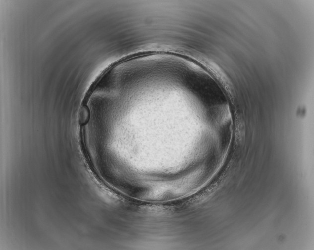 X0000096190896200802011404