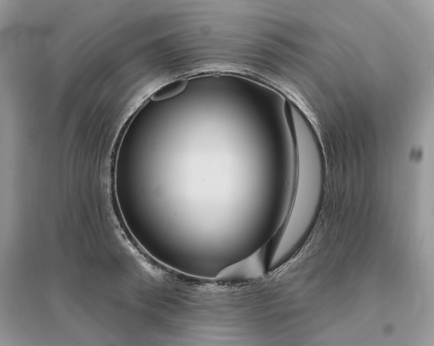 X0000096190898200802011404