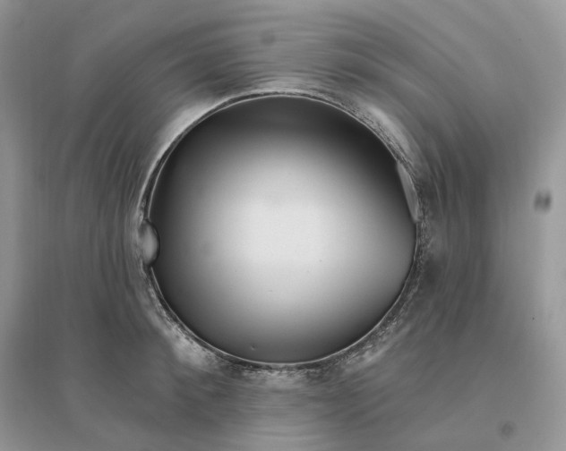 X0000096190900200802011404