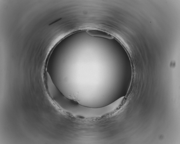 X0000096190901200802011404