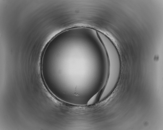 X0000096190902200802011404