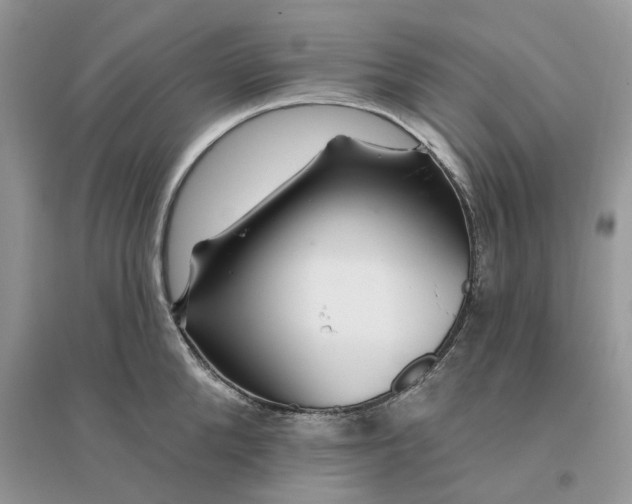 X0000096190904200802011404