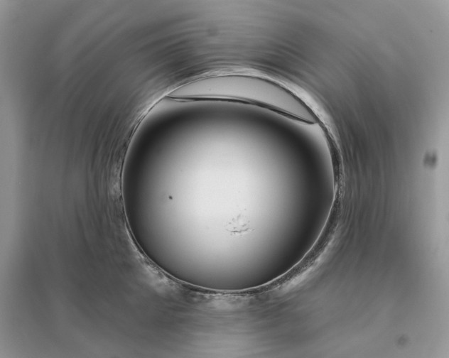 X0000096190905200802011404