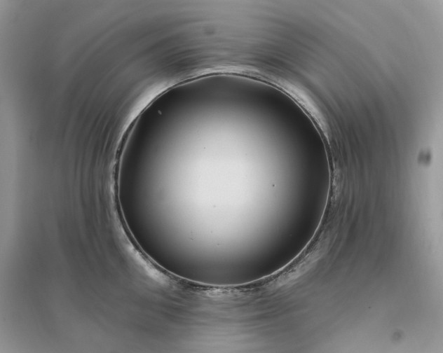 X0000096190906200802011404