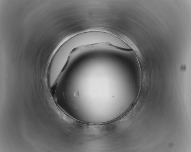 X0000096190908200802011404