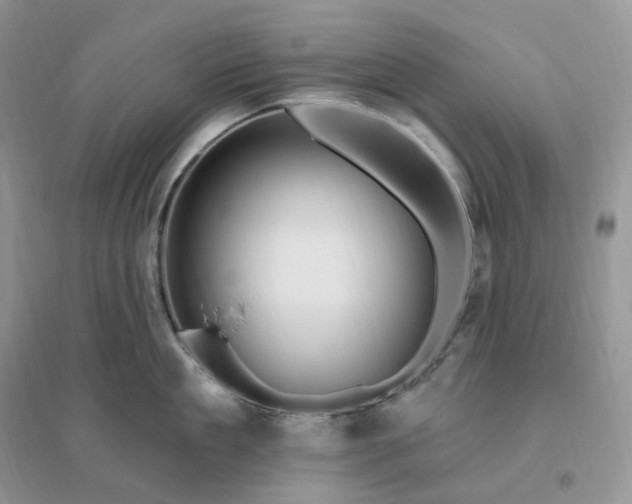 X0000096190909200802011404