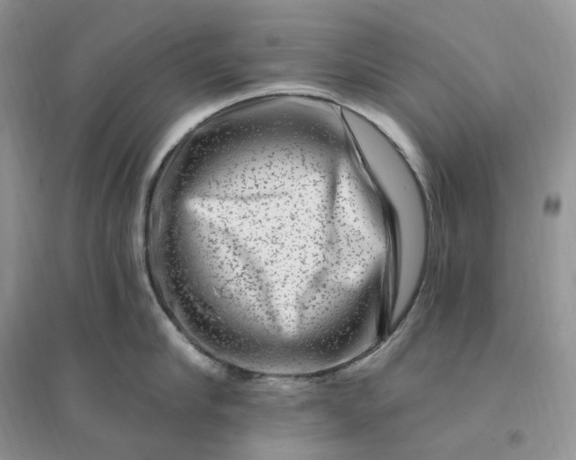 X0000096190910200802011404