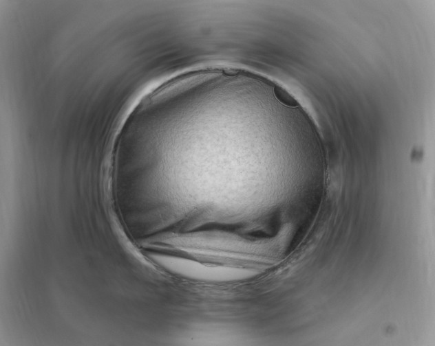 X0000096190911200802011404