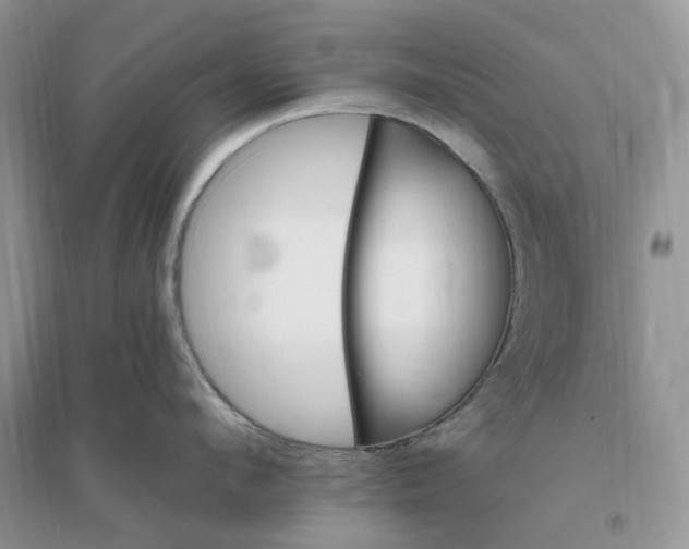 X0000096190912200802011404