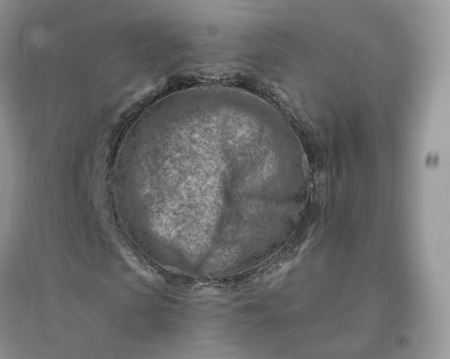 X0000096190913200802011403