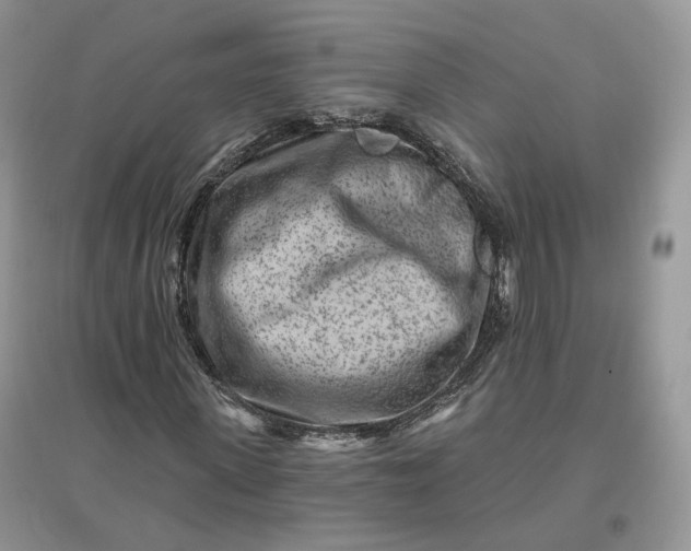 X0000096190915200802011403