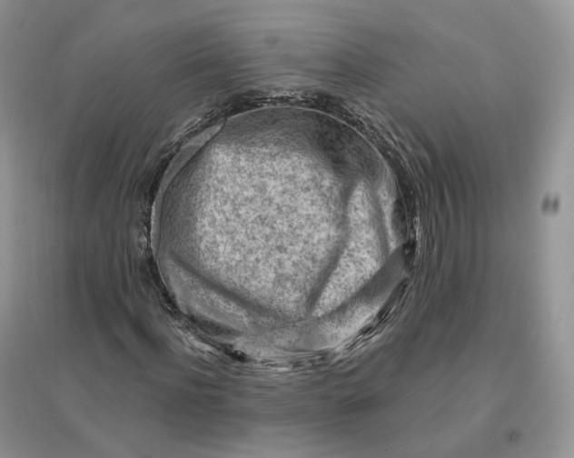 X0000096190916200802011403