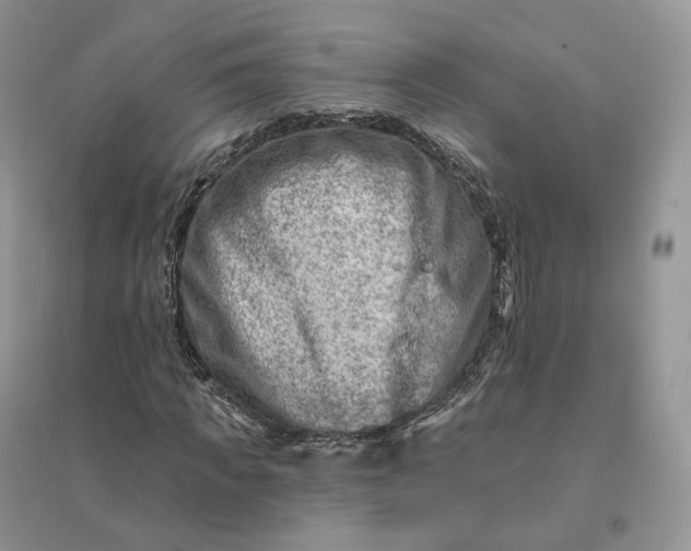 X0000096190917200802011403