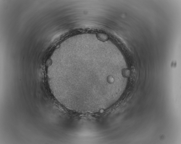 X0000096190918200802011403