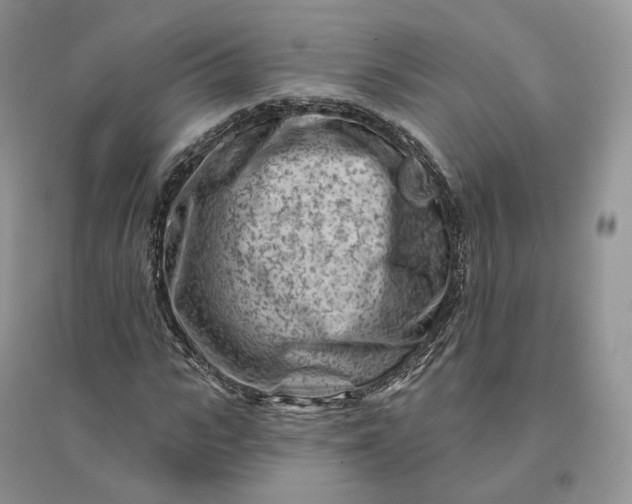 X0000096190919200802011403