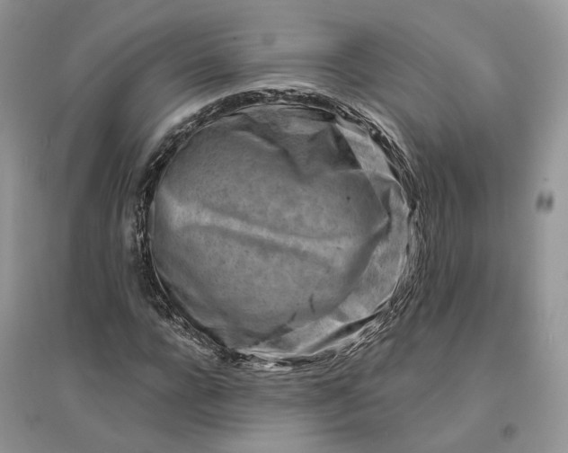 X0000096190920200802011403