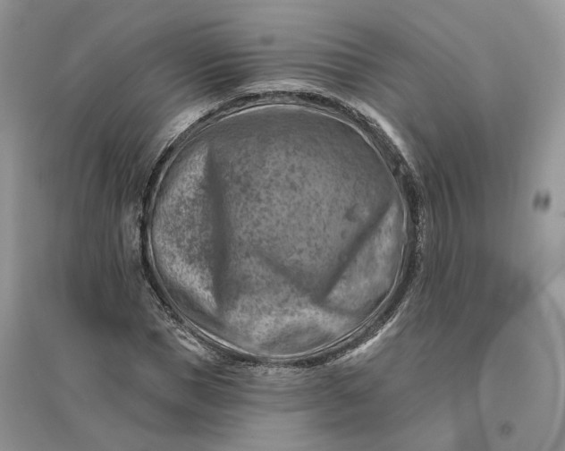 X0000096190921200802011403