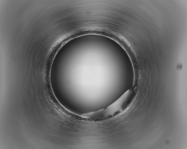 X0000096190922200802011403