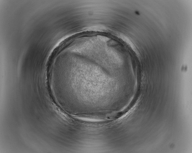 X0000096190923200802011403