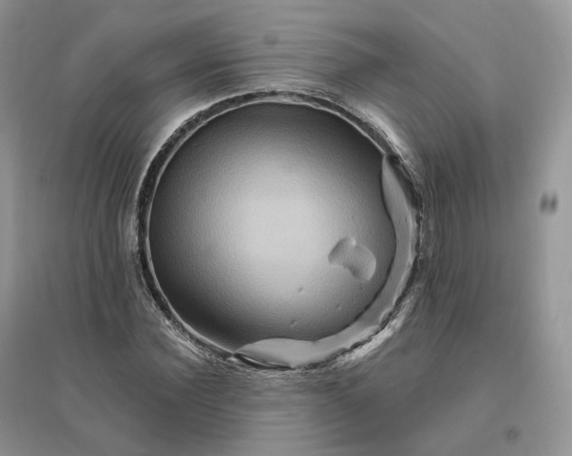 X0000096190924200802011403