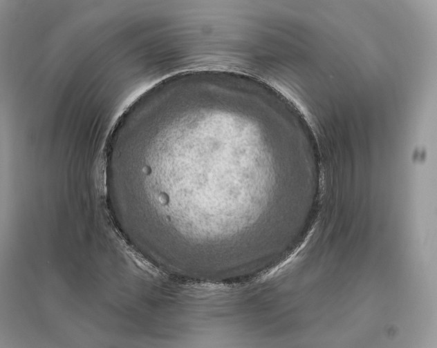 X0000096190925200802011403