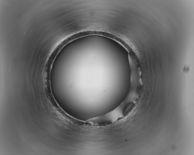 X0000096190926200802011403