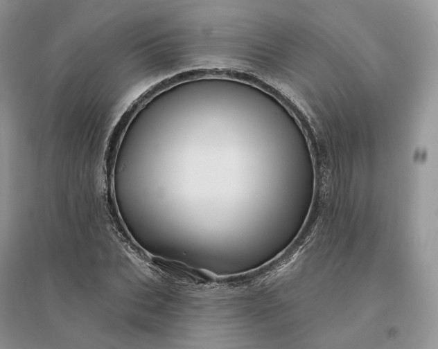 X0000096190927200802011403