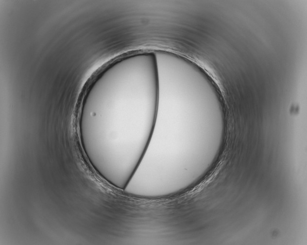 X0000096190928200802011403