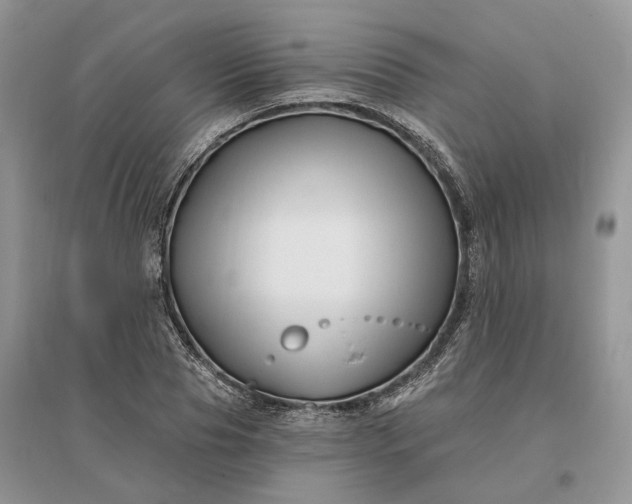 X0000096190929200802011403