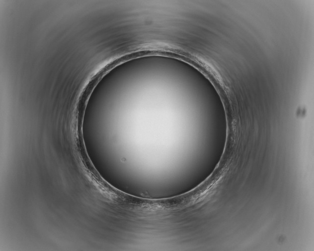 X0000096190931200802011403