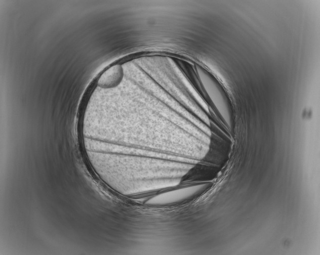 X0000096190932200802011403