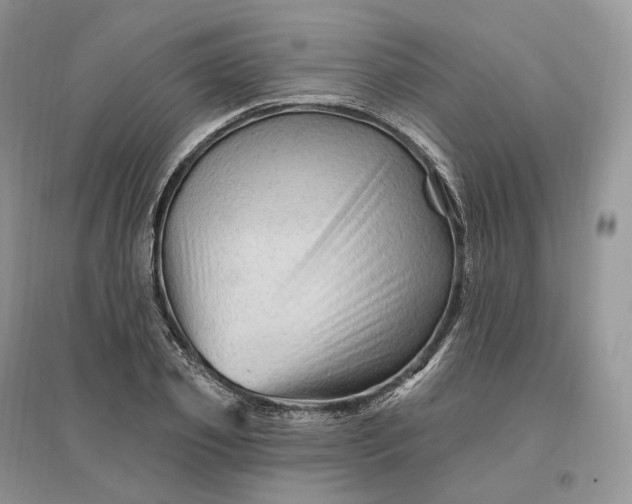 X0000096190933200802011403