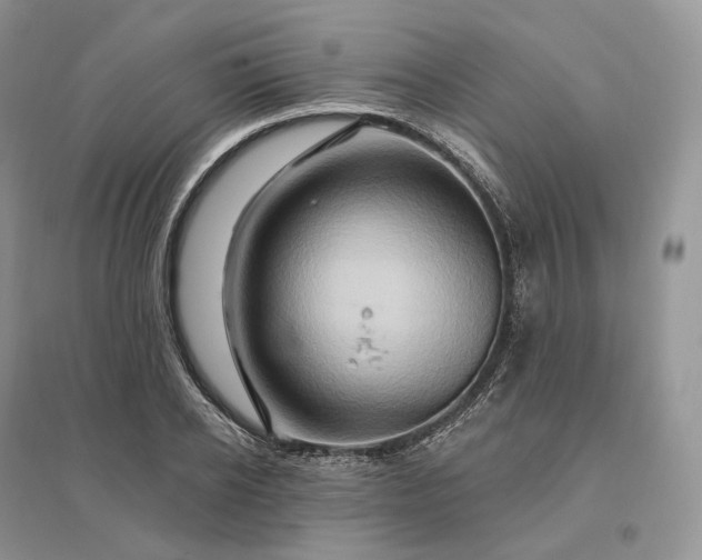 X0000096190934200802011404