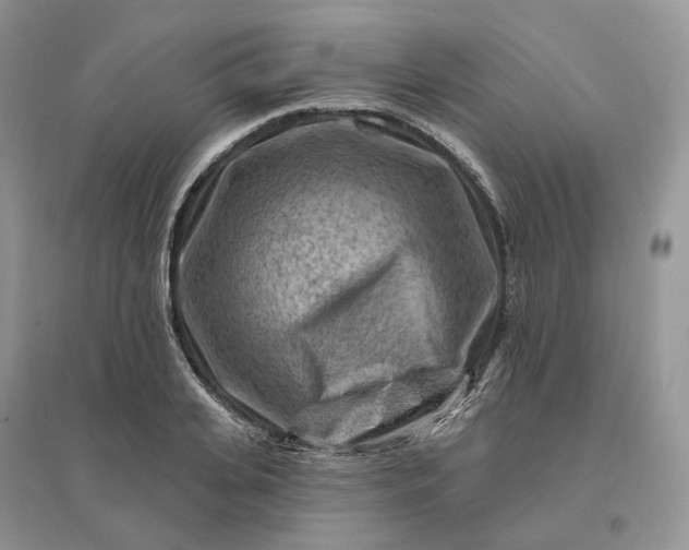 X0000096190935200802011404