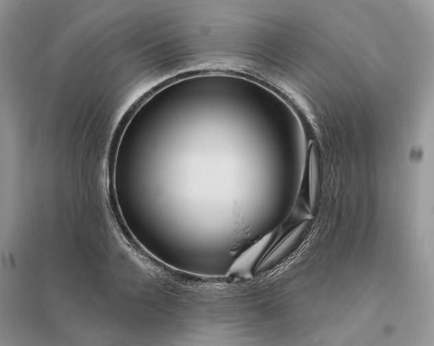 X0000096190936200802011404